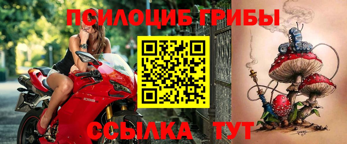 Галлюциногенные грибы Psilocybe  Псилоцибиновые грибы Magic Shrooms  Белебей 